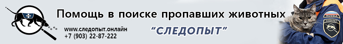 Следопыт
