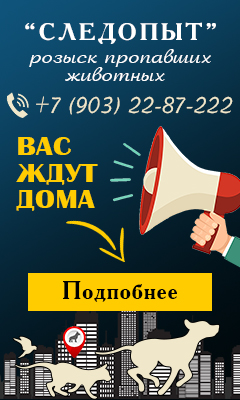 Следопыт