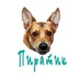 2025-07-02 12:06:16 GMT+00:00