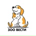 2023-10-13 06:37:23 GMT+00:00