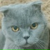 2026-04-01 10:52:13 GMT+00:00