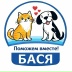 2026-05-31 12:34:07 GMT+00:00
