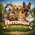2026-05-26 10:09:52 GMT+00:00
