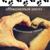 2026-06-03 19:28:57 GMT+00:00