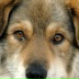 2026-06-03 21:42:35 GMT+00:00