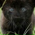2026-06-04 18:34:39 GMT+00:00