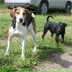 2026-06-09 05:38:44 GMT+00:00
