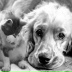 2026-06-08 18:41:57 GMT+00:00