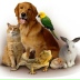 2026-06-09 23:14:08 GMT+00:00