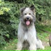 2026-06-03 08:31:28 GMT+00:00