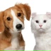 2026-06-03 19:58:29 GMT+00:00