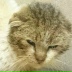 2026-06-07 22:02:58 GMT+00:00