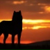 2026-06-04 16:37:44 GMT+00:00
