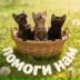 2026-06-08 18:44:11 GMT+00:00