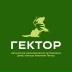 2026-06-05 08:07:16 GMT+00:00