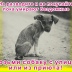 2026-07-04 20:58:45 GMT+00:00
