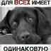 2026-09-01 07:44:55 GMT+00:00