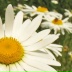 2026-09-15 06:09:52 GMT+00:00